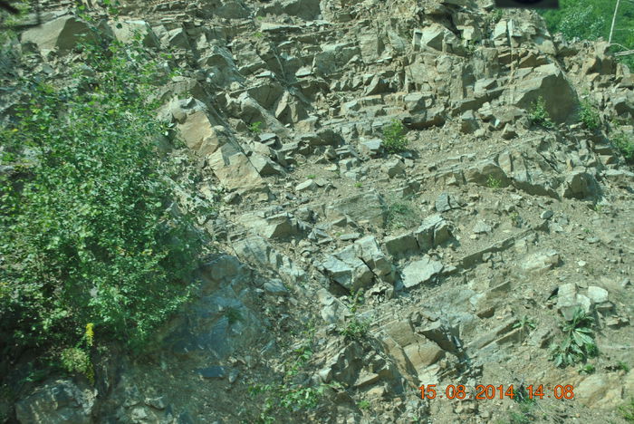 DSC_0412 - 2014 august 15 excursie pe Transfagarasan