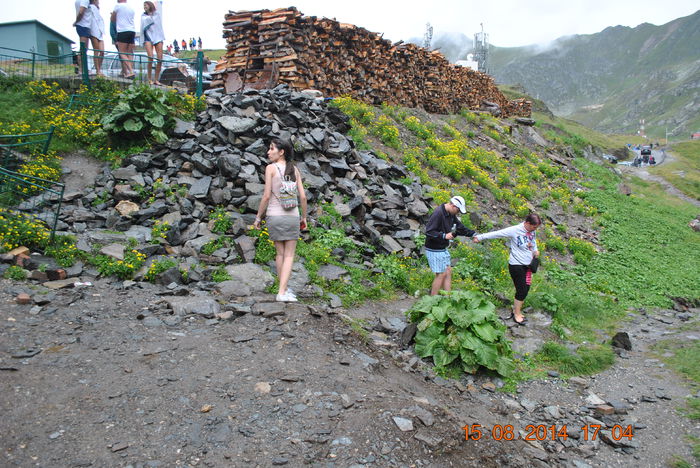 DSC_0523 - 2014 august 15 excursie pe Transfagarasan