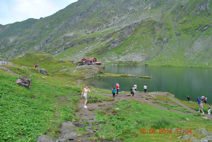 DSC_0526 - 2014 august 15 excursie pe Transfagarasan