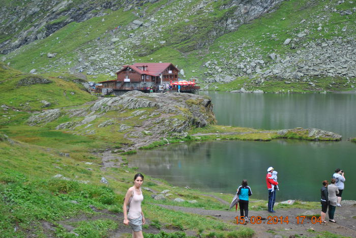 DSC_0527 - 2014 august 15 excursie pe Transfagarasan