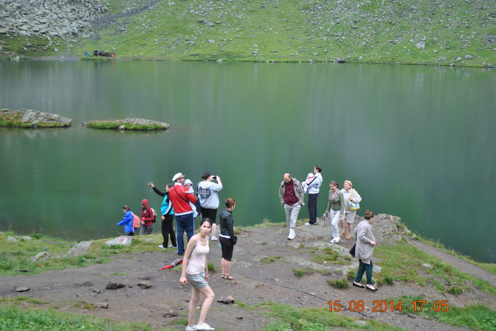 DSC_0528 - 2014 august 15 excursie pe Transfagarasan