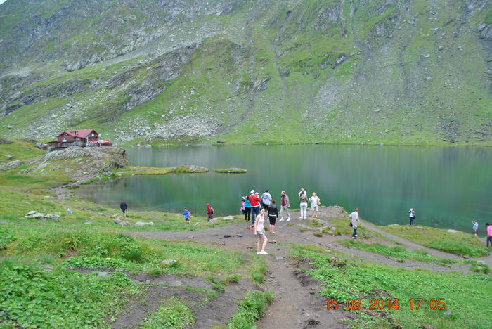 DSC_0529 - 2014 august 15 excursie pe Transfagarasan