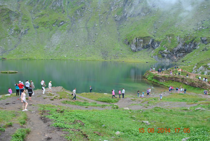 DSC_0530 - 2014 august 15 excursie pe Transfagarasan