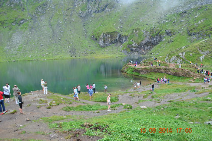DSC_0534 - 2014 august 15 excursie pe Transfagarasan