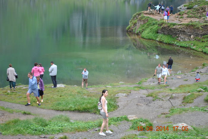 DSC_0535 - 2014 august 15 excursie pe Transfagarasan