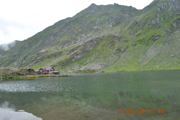DSC_0538 - 2014 august 15 excursie pe Transfagarasan