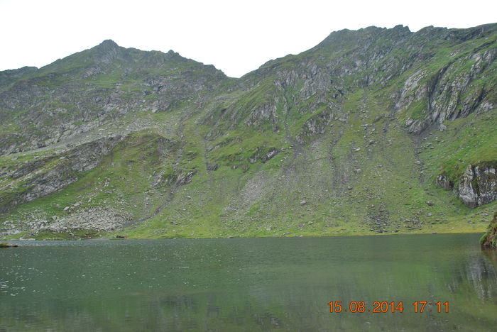 DSC_0539 - 2014 august 15 excursie pe Transfagarasan