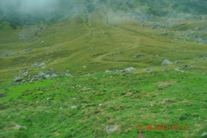 DSC_0561 - 2014 august 15 excursie pe Transfagarasan
