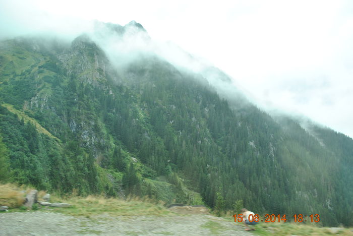 DSC_0563 - 2014 august 15 excursie pe Transfagarasan