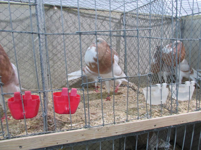 IMG_0062 - Straubing 2015