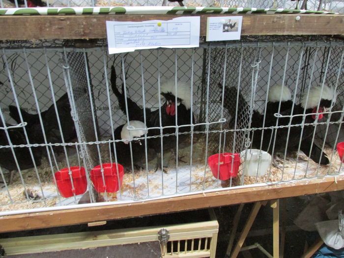 IMG_0074 - Straubing 2015