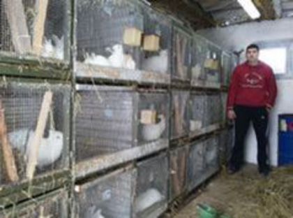  - ADAPOST - CALIFORNIAN