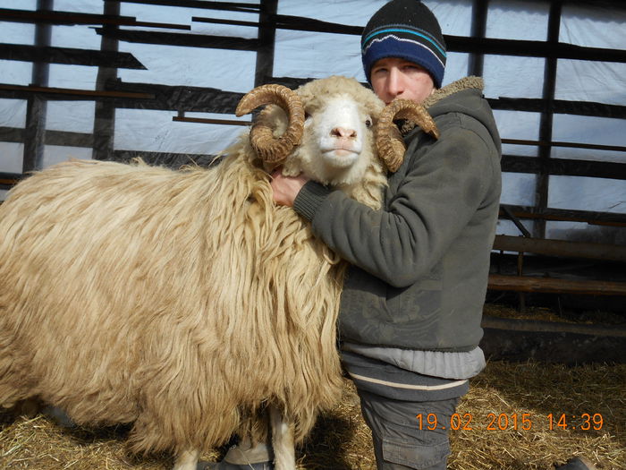 DSCN1053 - Berbeci 2o14-2015