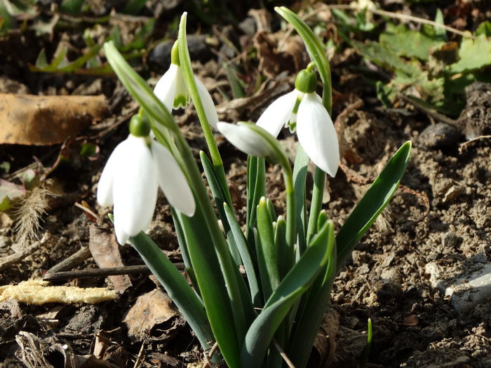 22.02 ultimile zile de iarna - m-iarna2014-2015