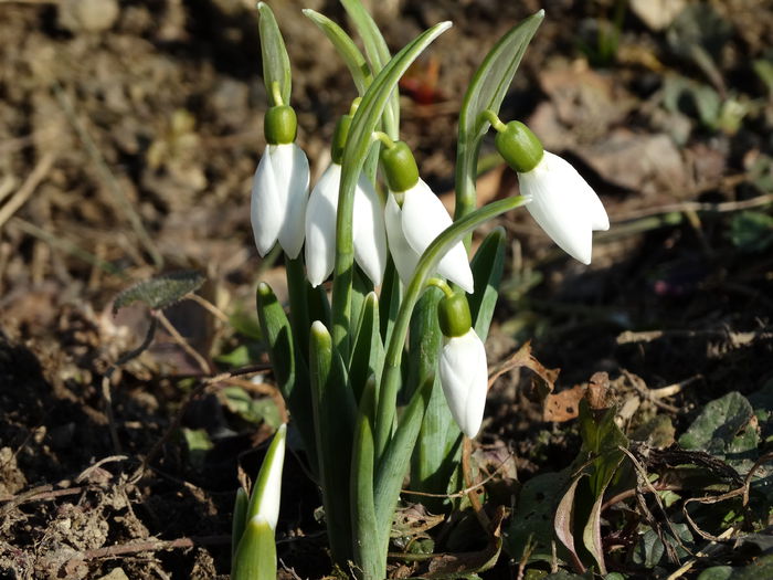 iar vestitorii isi spun cuvantul - m-iarna2014-2015