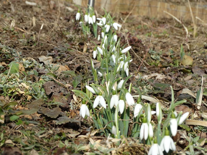 din ce in ce mai prezenti - m-iarna2014-2015