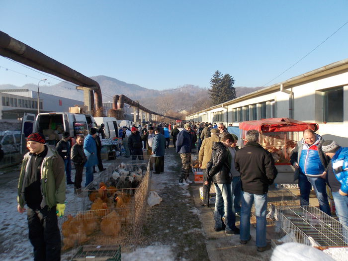 DSCN0320 - EXPO-2015-AVIROM-BRASOV
