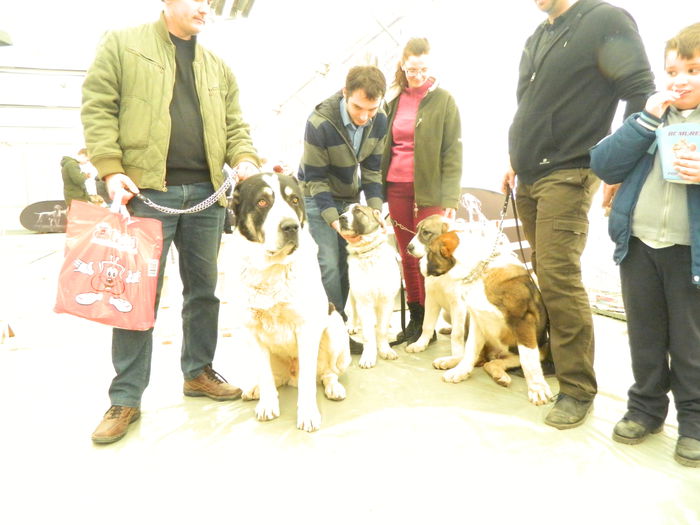 POZA DE FAMILIE; POZA DE FAMILIE
