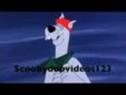 scooby doo (35)