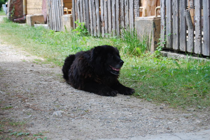 DSC_2737