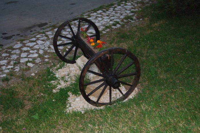 DSC_2874