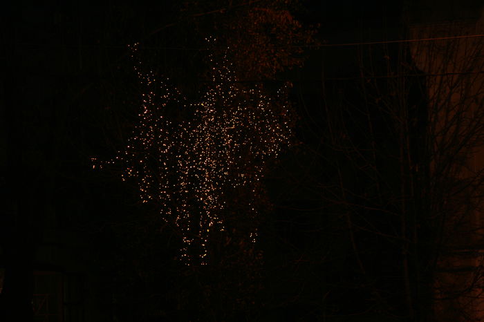 IMG_8835 - 2011 decemrie 6 luminite cu oana si mihai 1