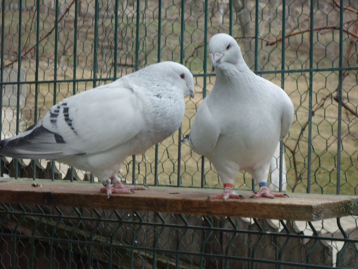 M-2014-2045&F-2012-21691