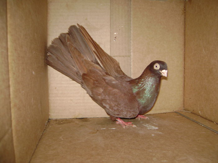 M 7970