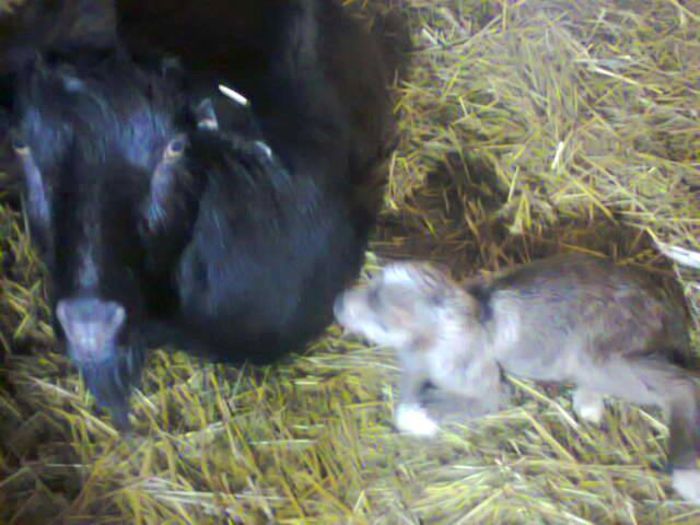 11002593_353946138137856_824258043775875610_n