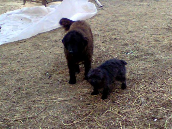 1378580_1398056500506496_298409130072202114_n