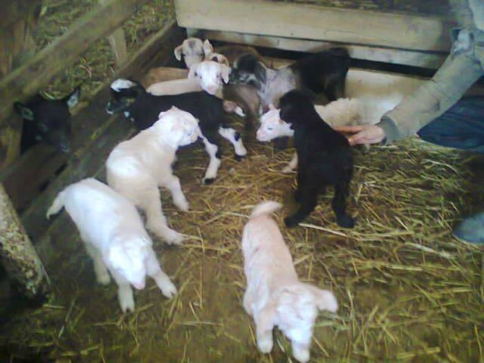 10392450_1396259510686195_7490466971980137043_n