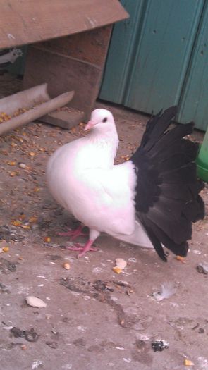 IMAG0039