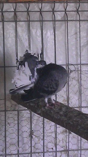 IMAG0081