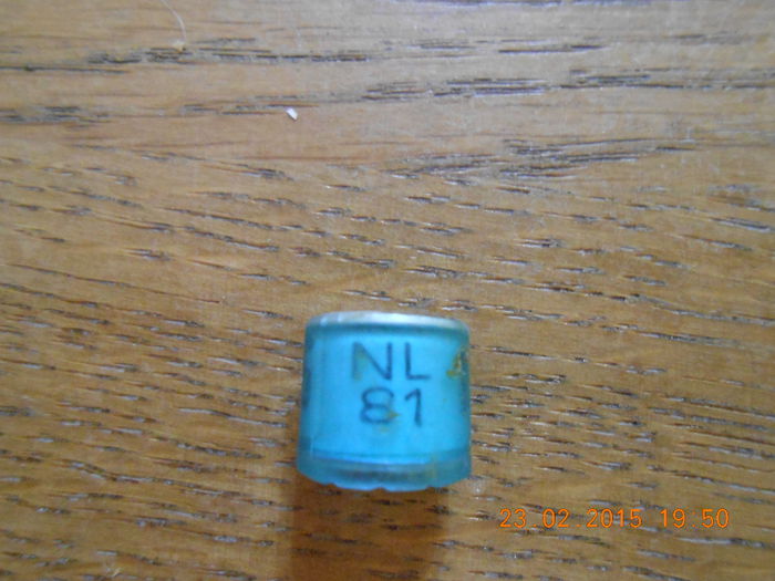 NL  81