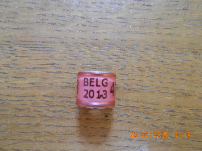 BELG 2013 - BELGIA