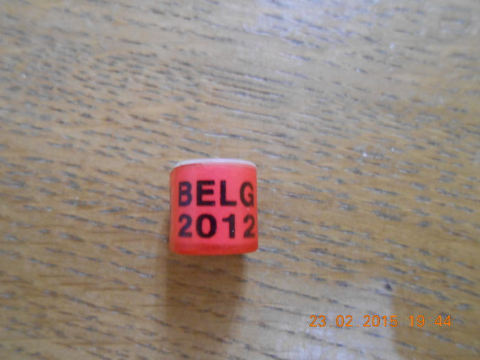 BELG 2012 - BELGIA