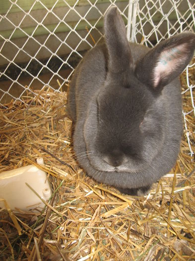 IMG_7943 - Expo Brasov 21-22 Februarie 2015