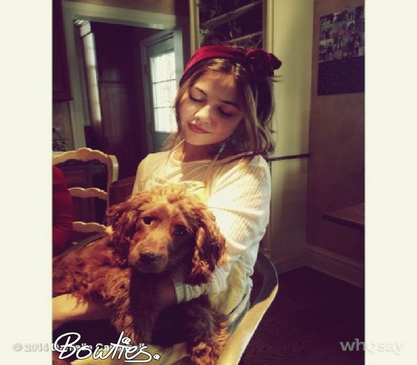 ×ƛƔƛƊƛƘЄƊƛƔƦƛ ☠ ¦ doi plus doi egal cartof. pup, hei.