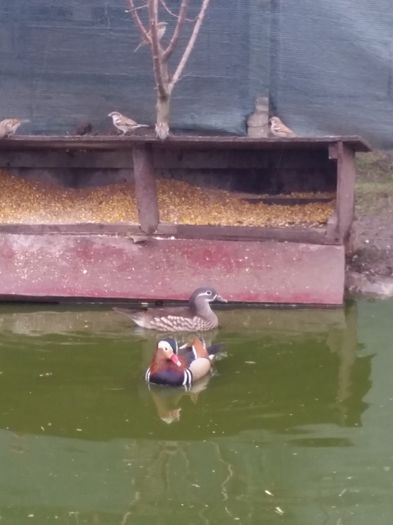 20150225_100323