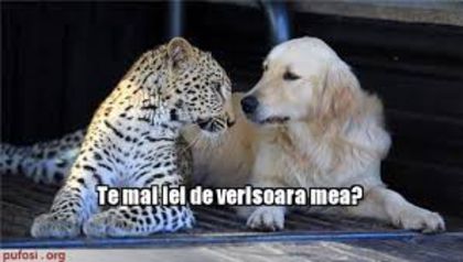 Ce nu fac eu pentru ea