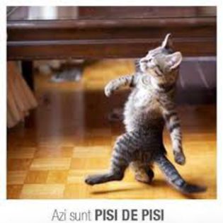 mers in doua picioare