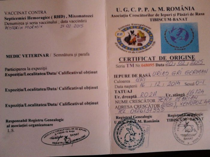 Certificat de origine fata - F 05 - de la Perii Marian