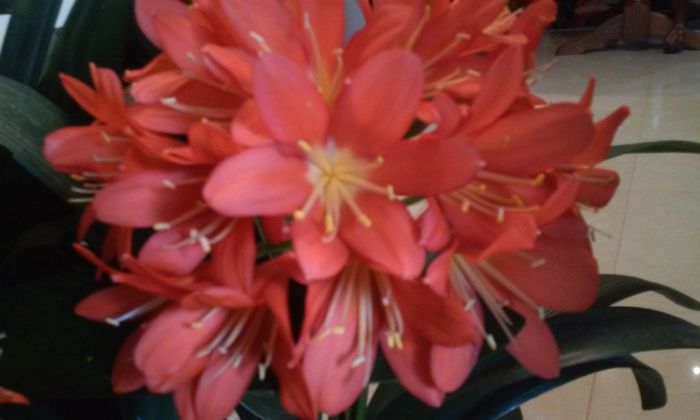 20150223_115310