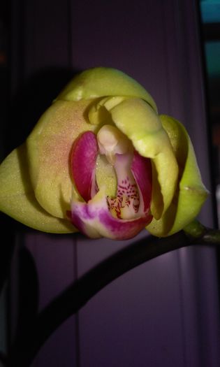 20150223_100148