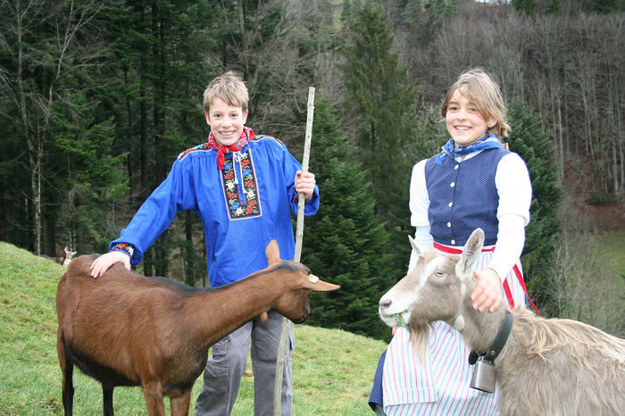 Alpina si Toggenburg cu copii - Rase de oi si capre-Poze deosebite-7
