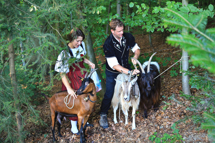 Scufita-Rosie cu capritele si cu Fat-frumos