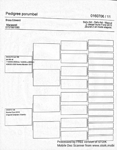 pedigree Shaly - cuplul nr VI