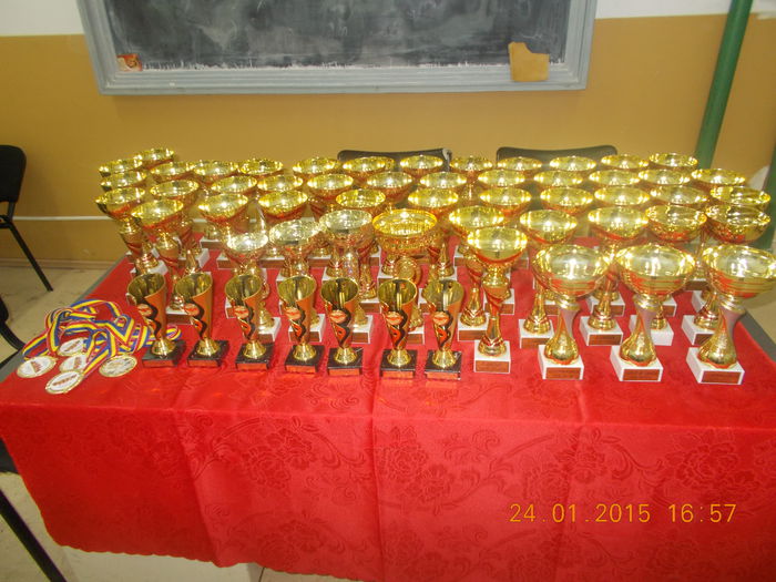 DSCN3554 - 04-Expozitie Zalau ianuarie 2015