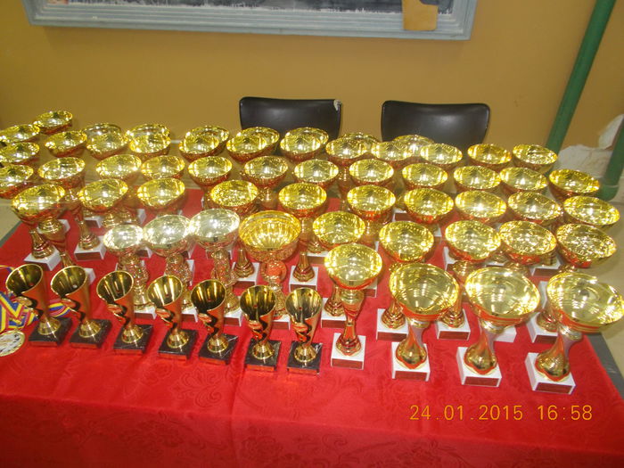 DSCN3558 - 04-Expozitie Zalau ianuarie 2015