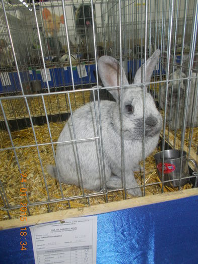 DSCN3603 - 04-Expozitie Zalau ianuarie 2015